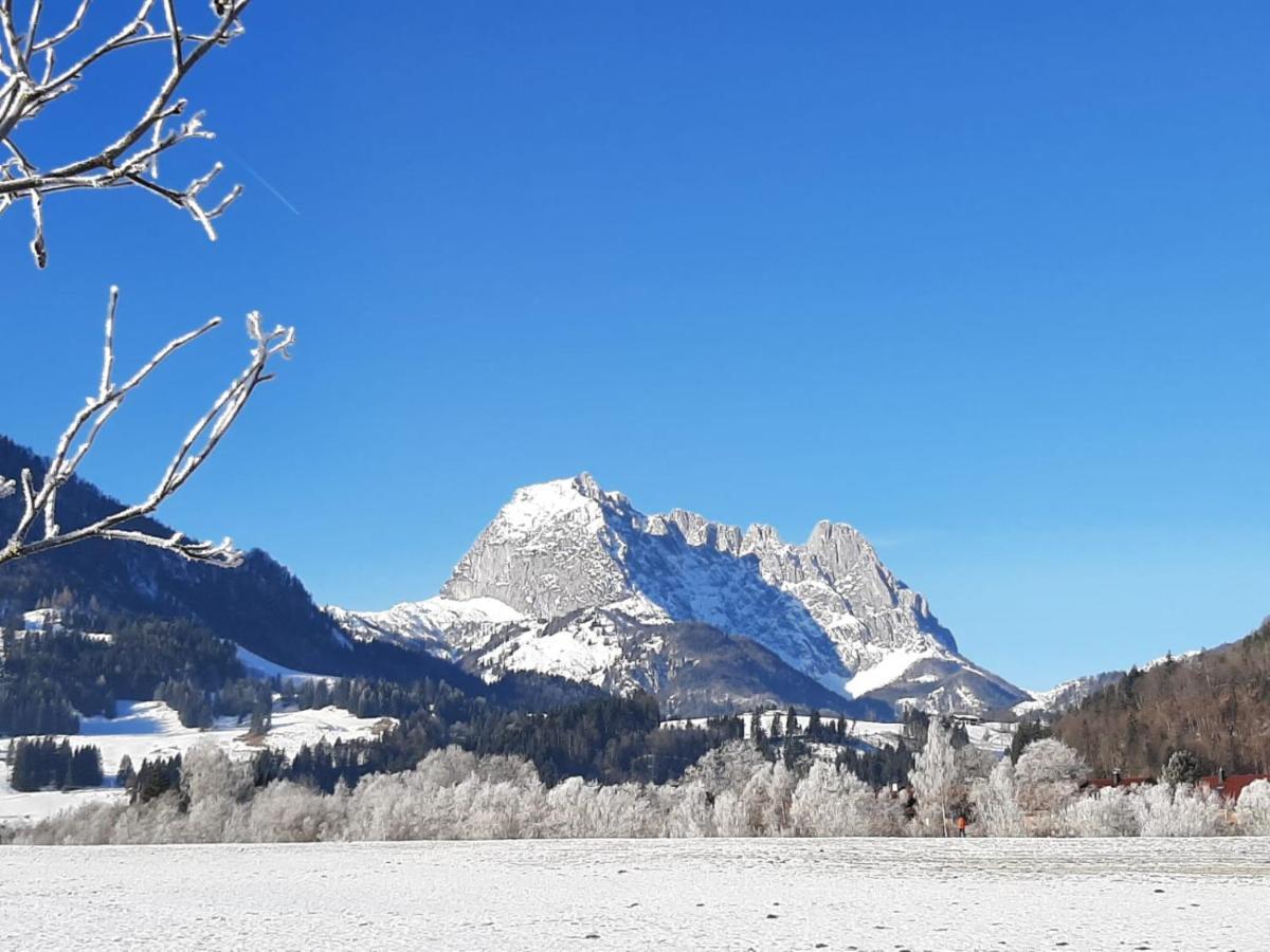 Tiroler Ferienwohnungen Haus Petra بوخن المظهر الخارجي الصورة